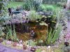DSC00107_1.jpg