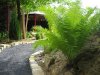IMG_4269.jpg