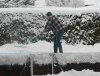 Schnee17122008klein.jpg