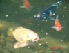 Test Bilder 100.jpg