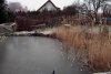 Teich  09.JPG