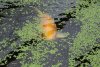 R IMG_2345b.jpg
