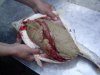 DSC01795.JPG
