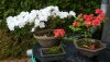 IlumixA (2)_800x450.JPG