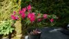 IlumixA (4)_800x450.JPG