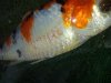 20130615_154652.jpg