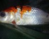 20130615_154602.jpg