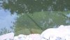 DSCF0244.JPG