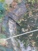 rps20130616_125720.jpg
