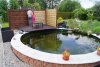 DSC04243.JPG