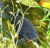 20130616_1.jpg