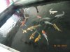 k-DSCN0943.JPG