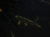DSC01874.JPG