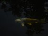 DSC01873.JPG