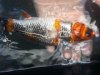 20130623_162331.jpg