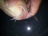 20130625_154912.jpg