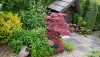 P1050561_800x450.JPG
