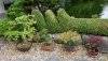 P1050559_800x450.JPG