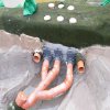 k-DSCF8529.JPG