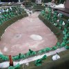 k-DSCF8474.JPG