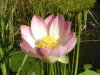 DSC02679.jpg
