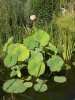 DSC02666.jpg