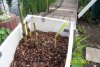 100_0419.JPG