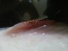 20130630_115656.jpg