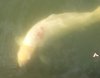 20130716_084119.jpg
