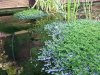 DSCF2466.JPG