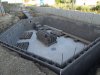 Teichbau 060 klein.jpg