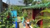 Garten2013.jpg