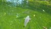 DSC02416.JPG