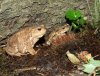 DSCF0507.JPG
