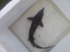 20130810_195534.jpg