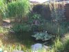 DSCF0709.JPG