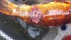 20130817_180114.jpg