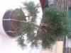 Foto3.JPG