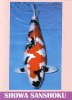 Thainipponff inazumashowa.jpg