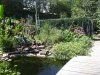 Teich natur.jpg