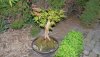 IlumixA (12)_640x360.JPG