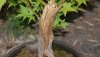 IlumixA (15)_640x360.JPG