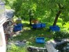 IMG_20130706_105922.jpg