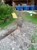 IMG_20130803_204750.jpg