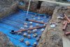 DSC01036.jpg