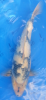 Screenshot_2013-08-12-20-32-13-2.png