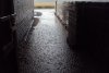 DSC01078.jpg