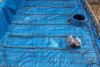 DSC01105a.jpg