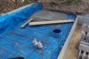 DSC01109a.jpg