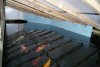 DSC03779.JPG